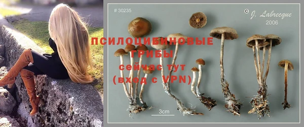 MDMA Вязьма